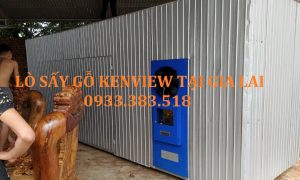 Kenview cung cấp lò sấy gỗ bằng điện 5m3 tại Gia Lai. 0933.383.518