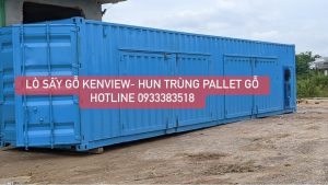 Lò sấy gỗ container Kenview tại Bình Định